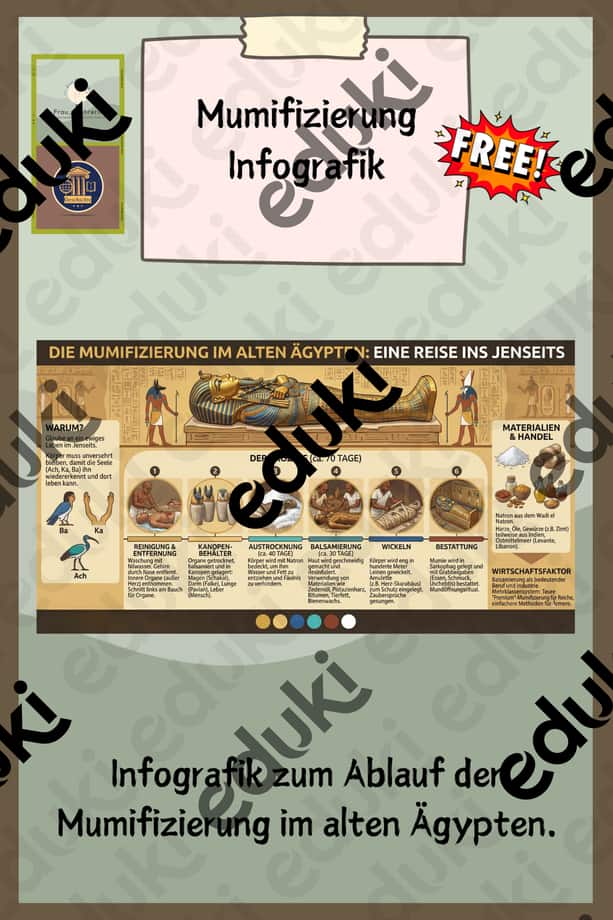 Vorschau – Mumifizierung | Infografik – Seite 1